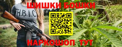 гидра Гай