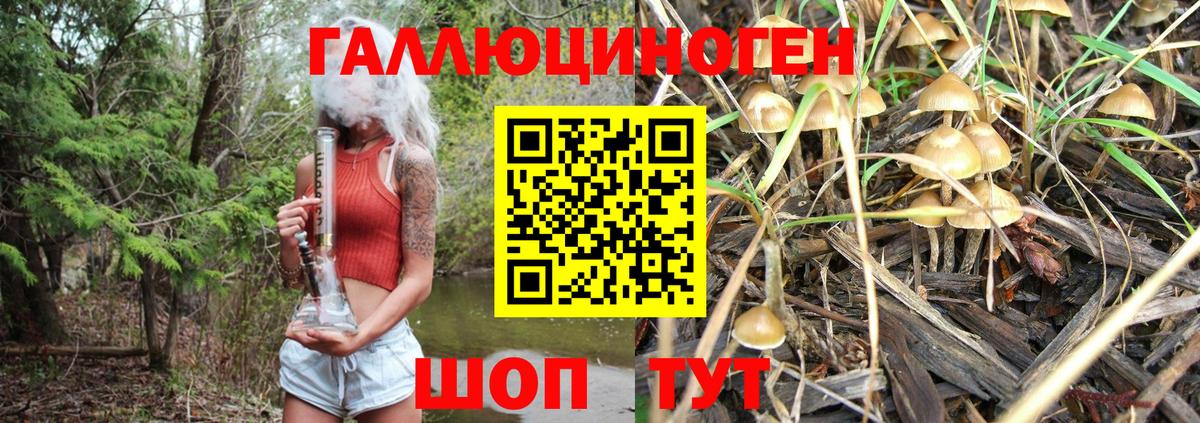 Галлюциногенные грибы Cubensis  Вход с VPN  Михайловск 